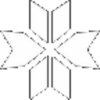 Noesea logo